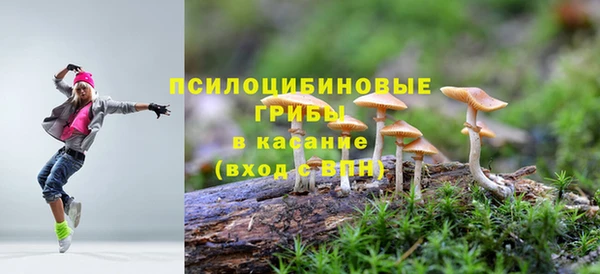 прущие крисы Кулебаки