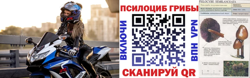 Галлюциногенные грибы прущие грибы Серпухов