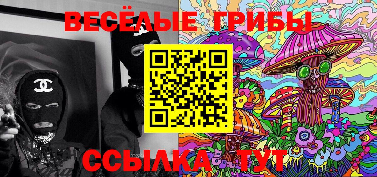 Галлюциногенные грибы Psilocybine cubensis  Вход с VPN  Серпухов 